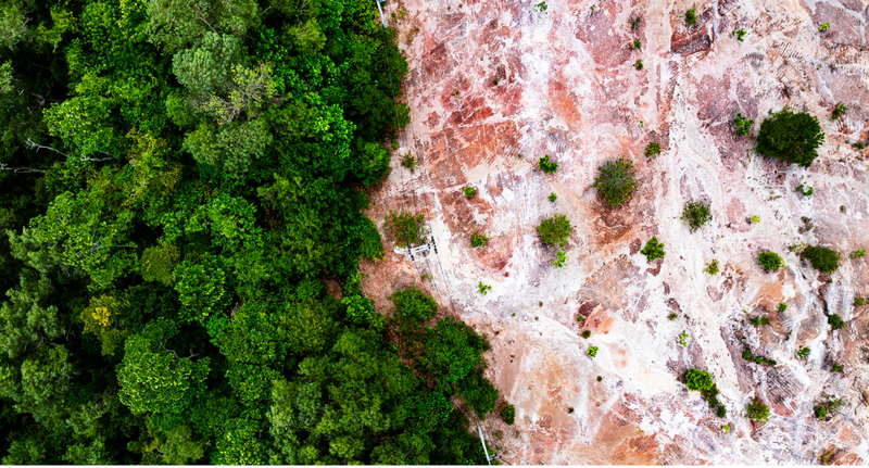 GMOs, fertilizers, deforestation