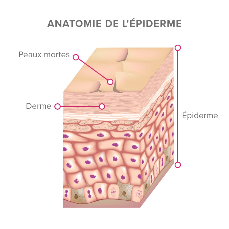 Comment se présente un exfoliant