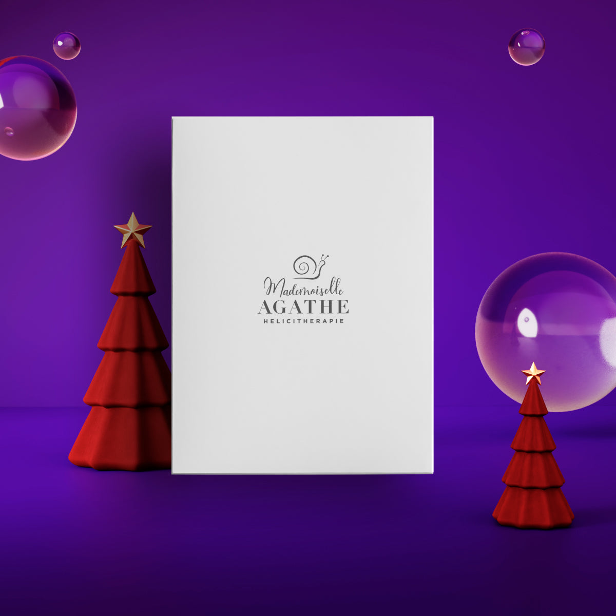 Mademoiselle Agathe's Gift Box