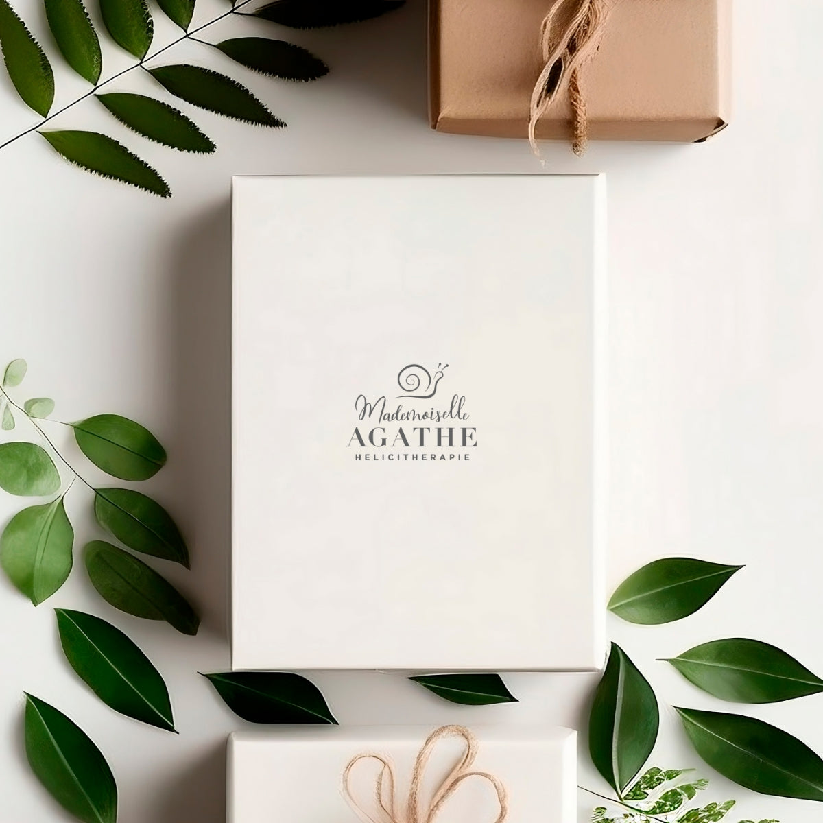 The Mademoiselle Agathe gift box