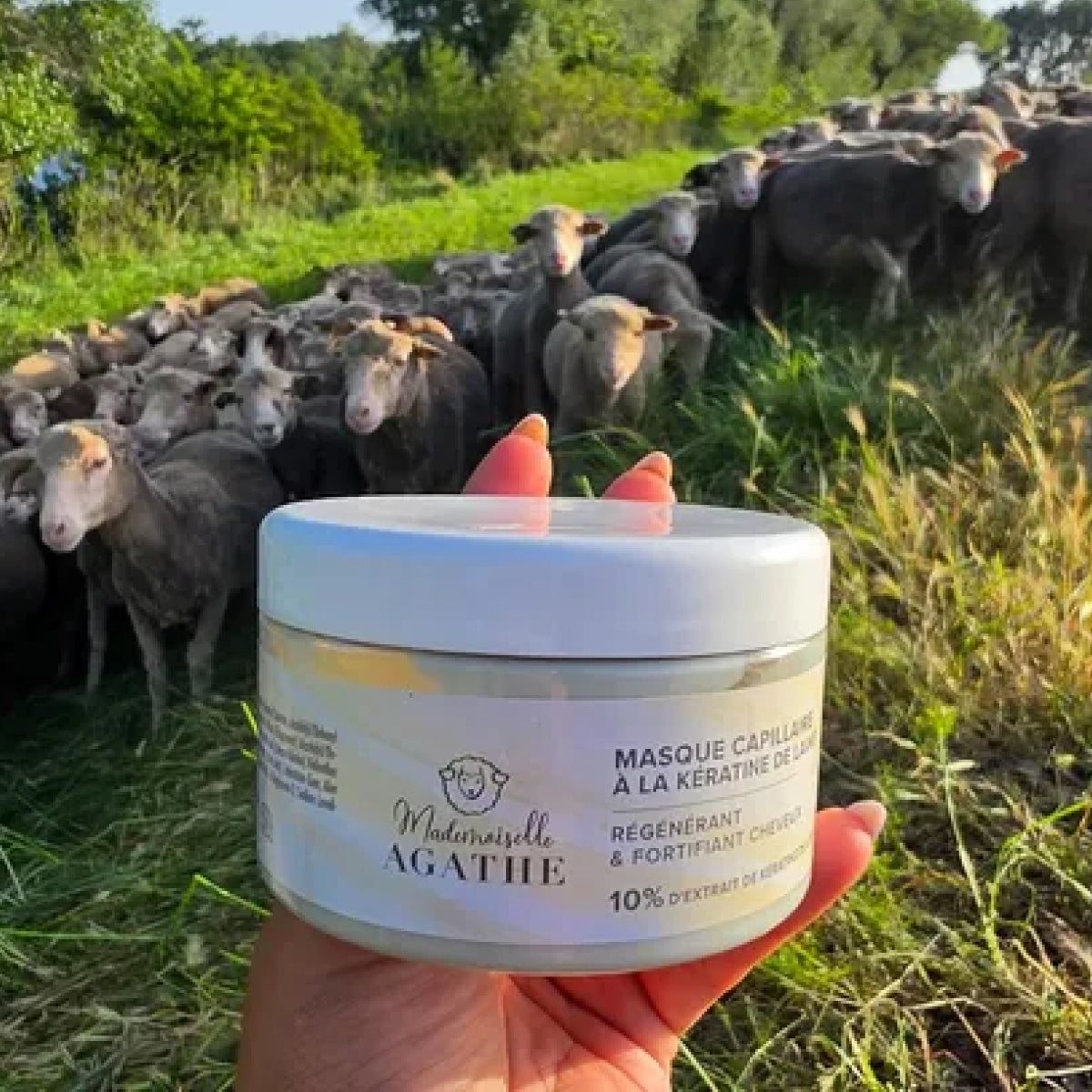 Essential organic certified sheep wool keratin hair duo - repairs & protects