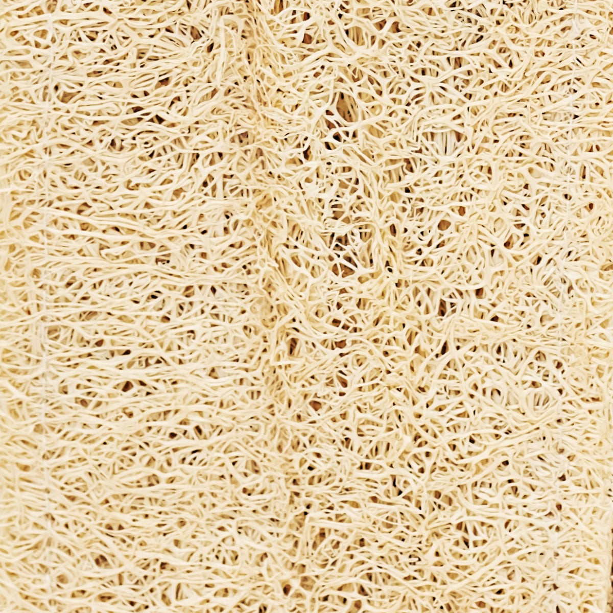 LUFFA GLOVE - Exfoliating &amp; Anti-cellulite