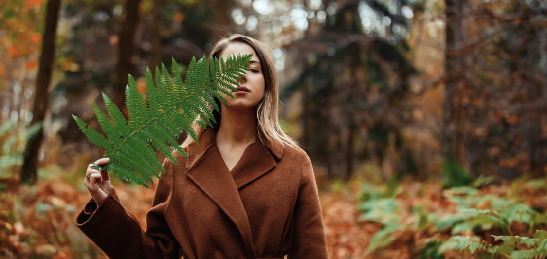 Automne