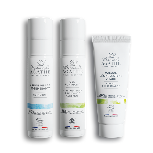 OILY SKIN ROUTINE - Purifying & Regulating