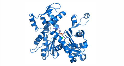Actine